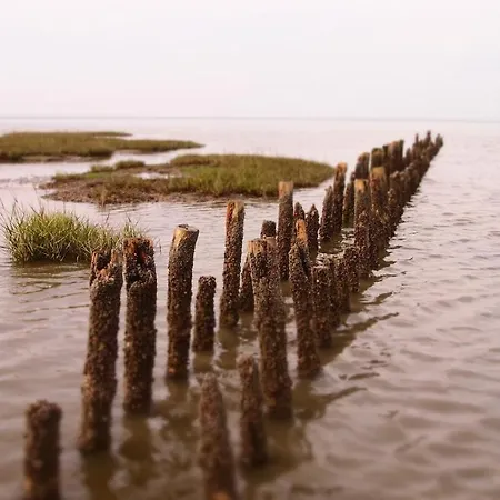 Appartement Nordsee Sued *