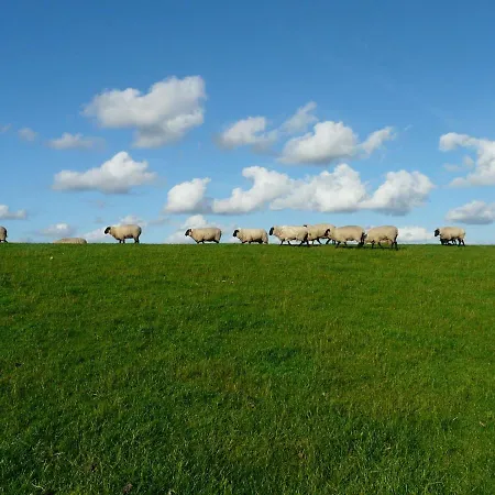 Nordsee Sued Appartamento Dornumersiel