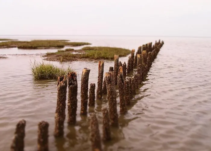 Appartement Nordsee Sued *